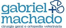 Dr Gabriel Machado